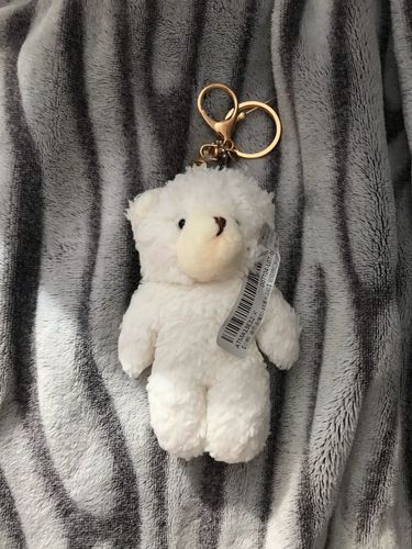 Customer photo review of Love Heart Animal Friend Keychain Collection