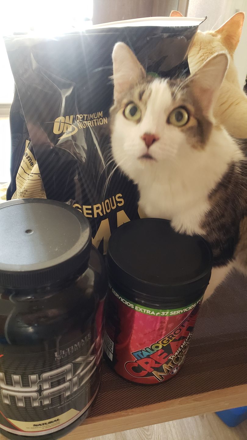 Customer photo review of Optimum Nutrition Serious Mass Ganador de Masa 12 Lb