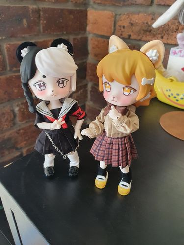 Customer photo review of School of Fancies BJD Blind Box
