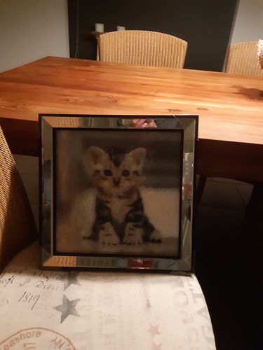 Customer photo review of De Mooiste Kitten