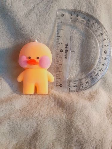 Customer photo review of Lalafanfan Duck Family Keychain