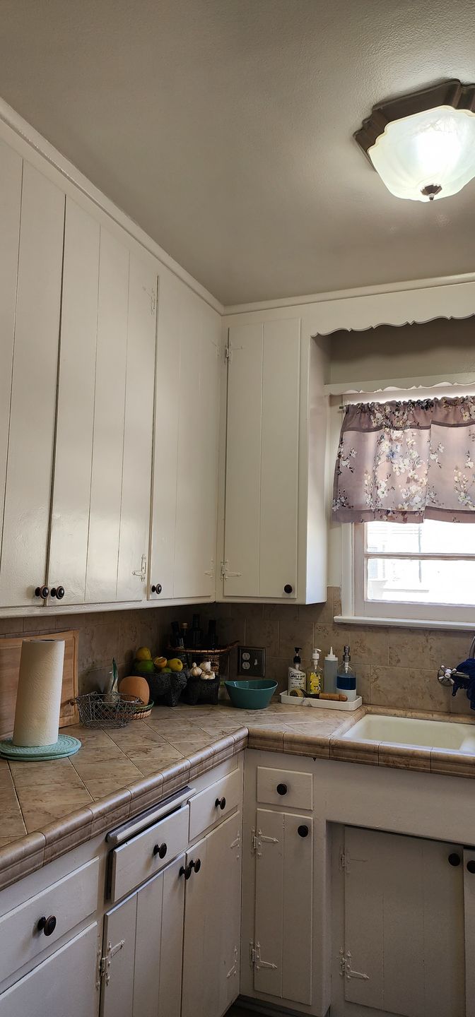 Customer photo review of Ballet White - One Step Paint