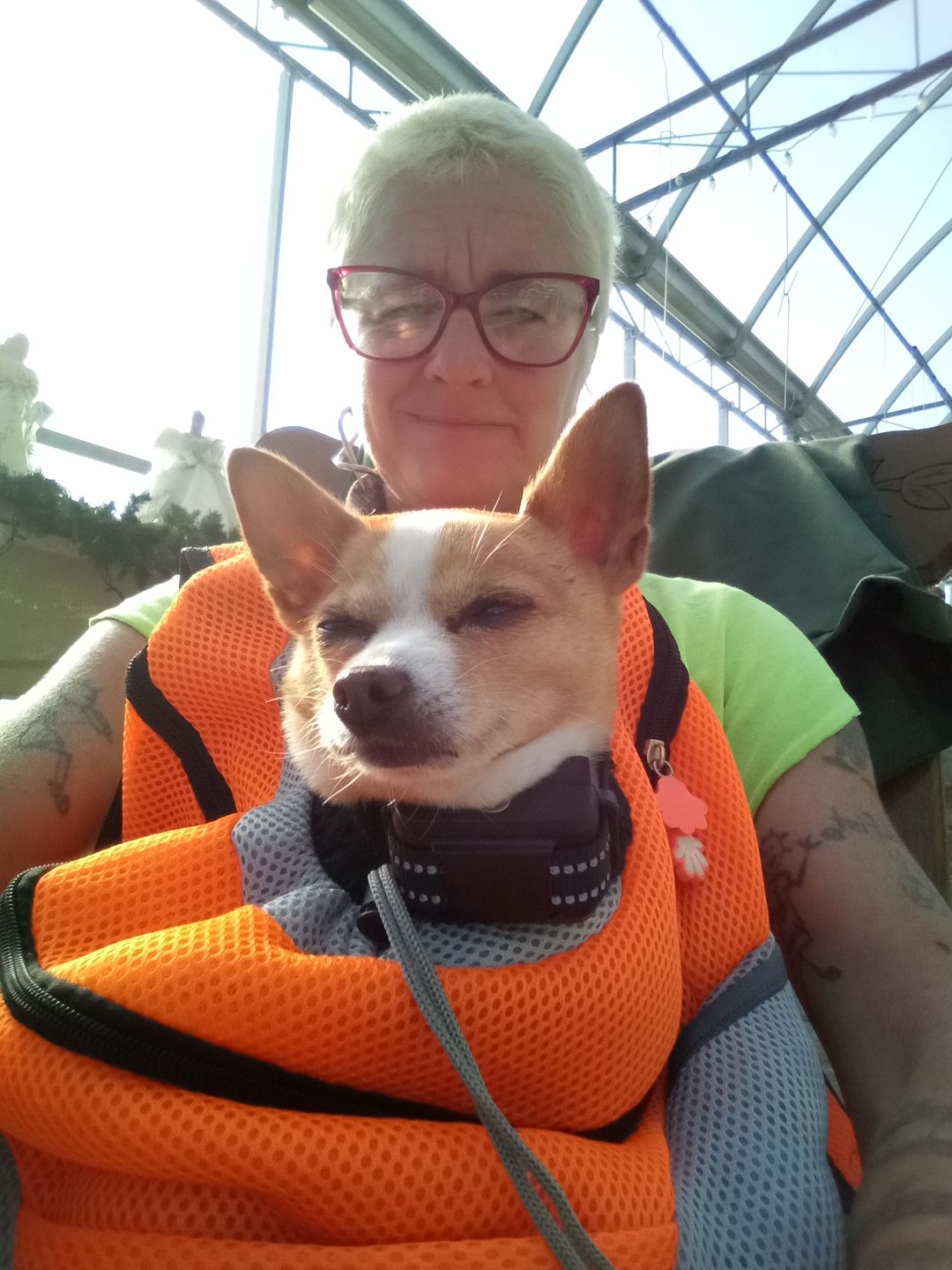 Customer photo review of Fur Sport™ - Pet Backpack Carrier