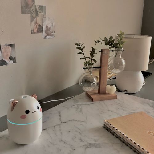 Customer photo review of Cute Blushing Cat Air Humidifier Night Light