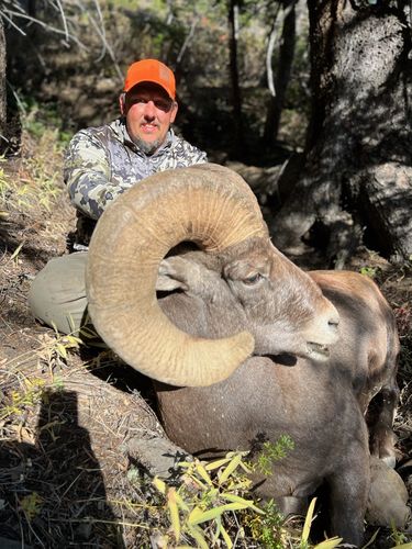 Customer photo review of Men's Early Dawn Sherpa Shell Vest - Excape