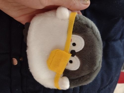 Customer photo review of Little Penguin Coin Purse