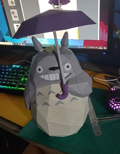 Customer photo review of Patrons Totoro (pdf)