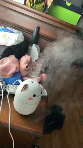 Customer photo review of Cute Blushing Cat Air Humidifier Night Light