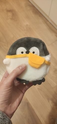 Customer photo review of Little Penguin Coin Purse