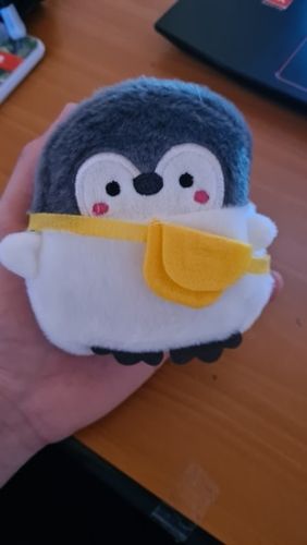 Customer photo review of Little Penguin Coin Purse