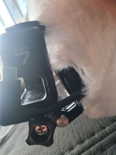 Customer photo review of AGV Corsa R/Pista GP RR Camera Mount