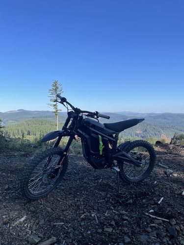 Customer photo review of Talaria Sting