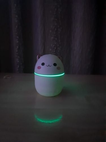 Customer photo review of Cute Blushing Cat Air Humidifier Night Light
