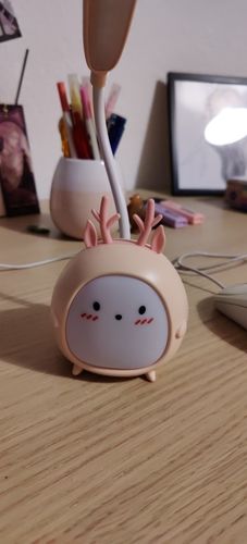 Customer photo review of Funny Bunny Table Lamp