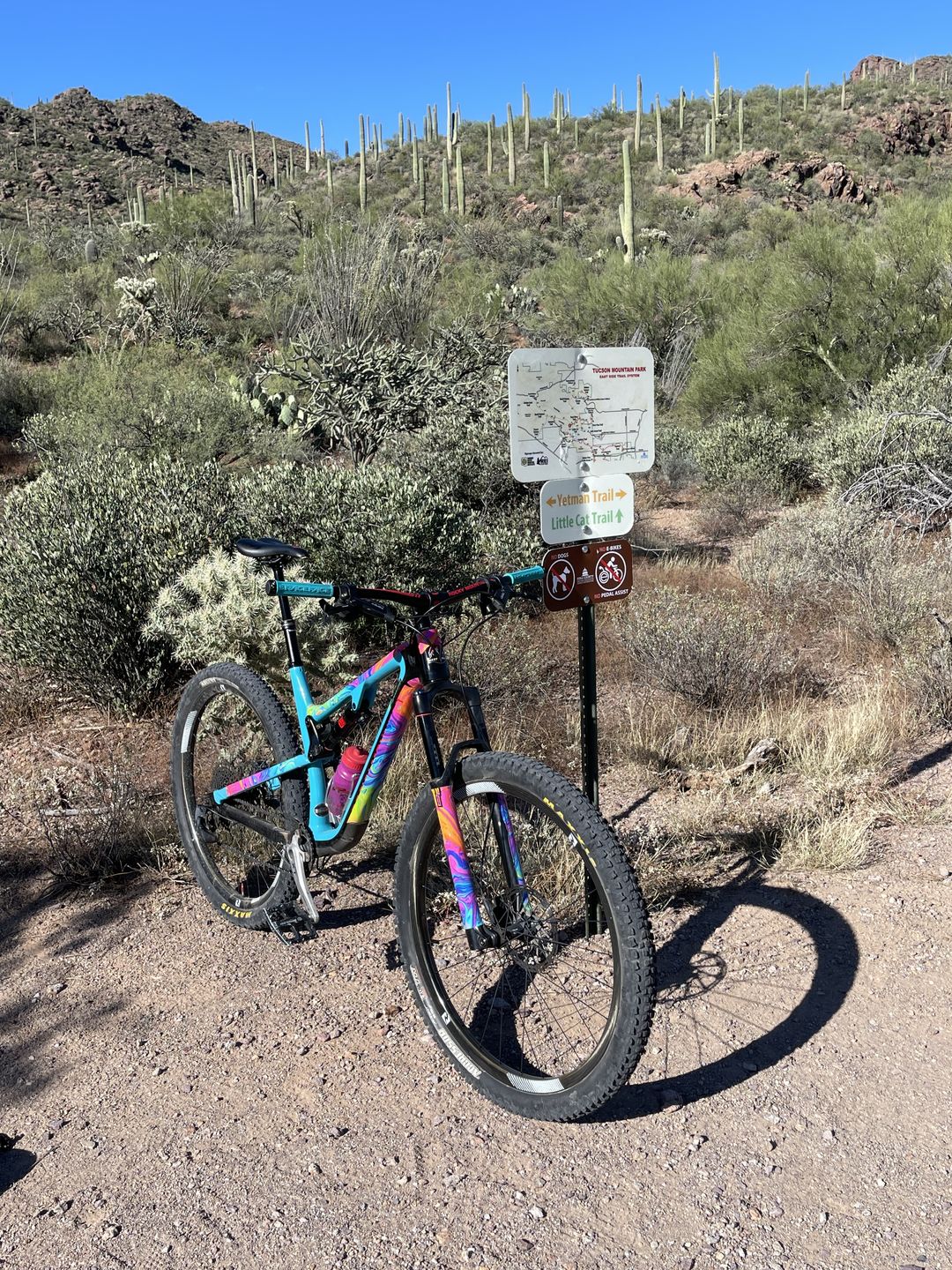 Customer photo review of Oil Slick Frame Keeper