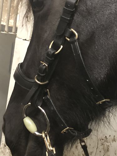 Customer photo review of Bitstrap adjustable