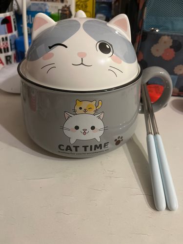 Customer photo review of Kawaiimi Cat Time Noodle Bowl