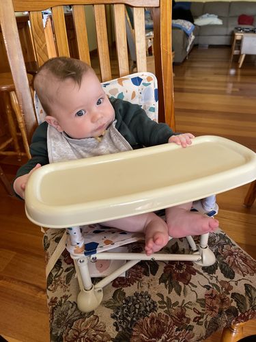 Customer photo review of Charlie baby chair