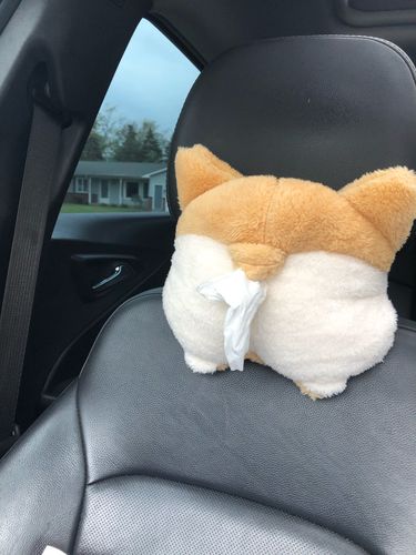 Customer photo review of Corgi Butt Plush Tissue Holder