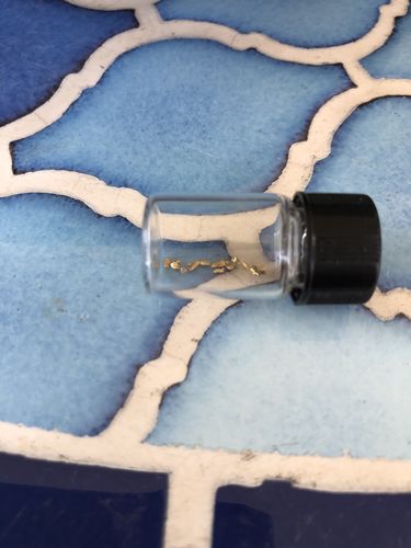 Customer photo review of Dutchman's 'SECRET NUGGET' Gold Paydirt - Gold Prospecting Concentrate