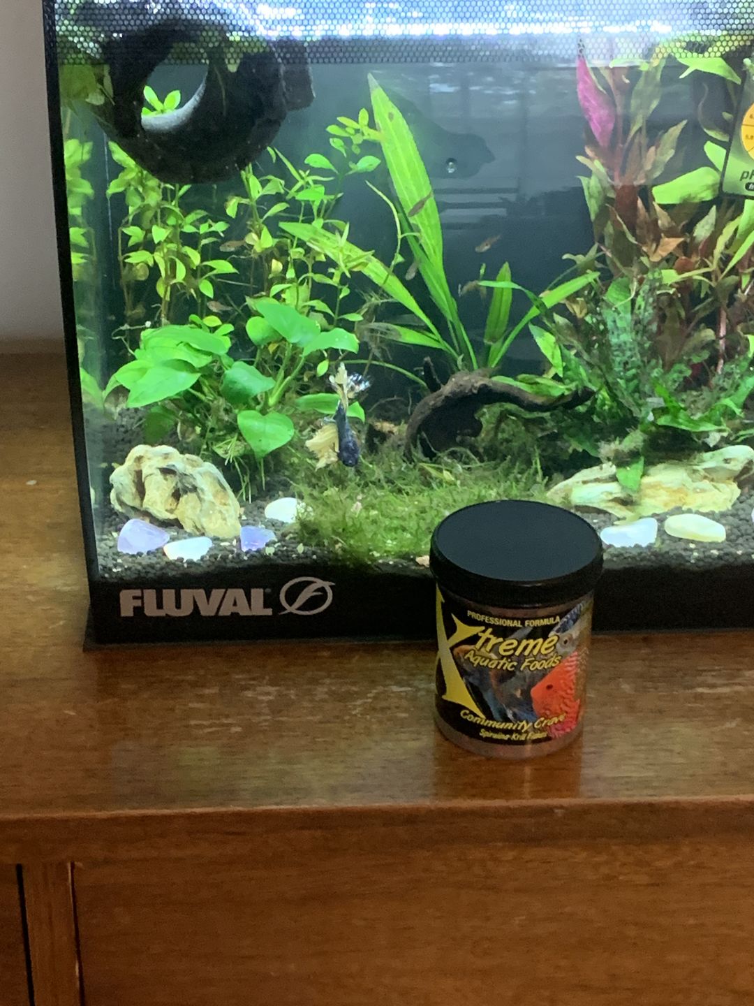 Customer photo review of Northfin Community Formula