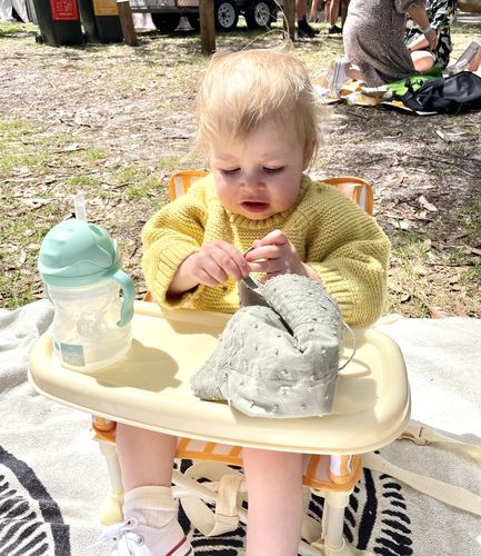 Customer photo review of Brighton baby chair