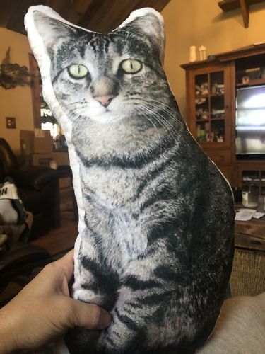 Customer photo review of Create A Custom Dog Pillow