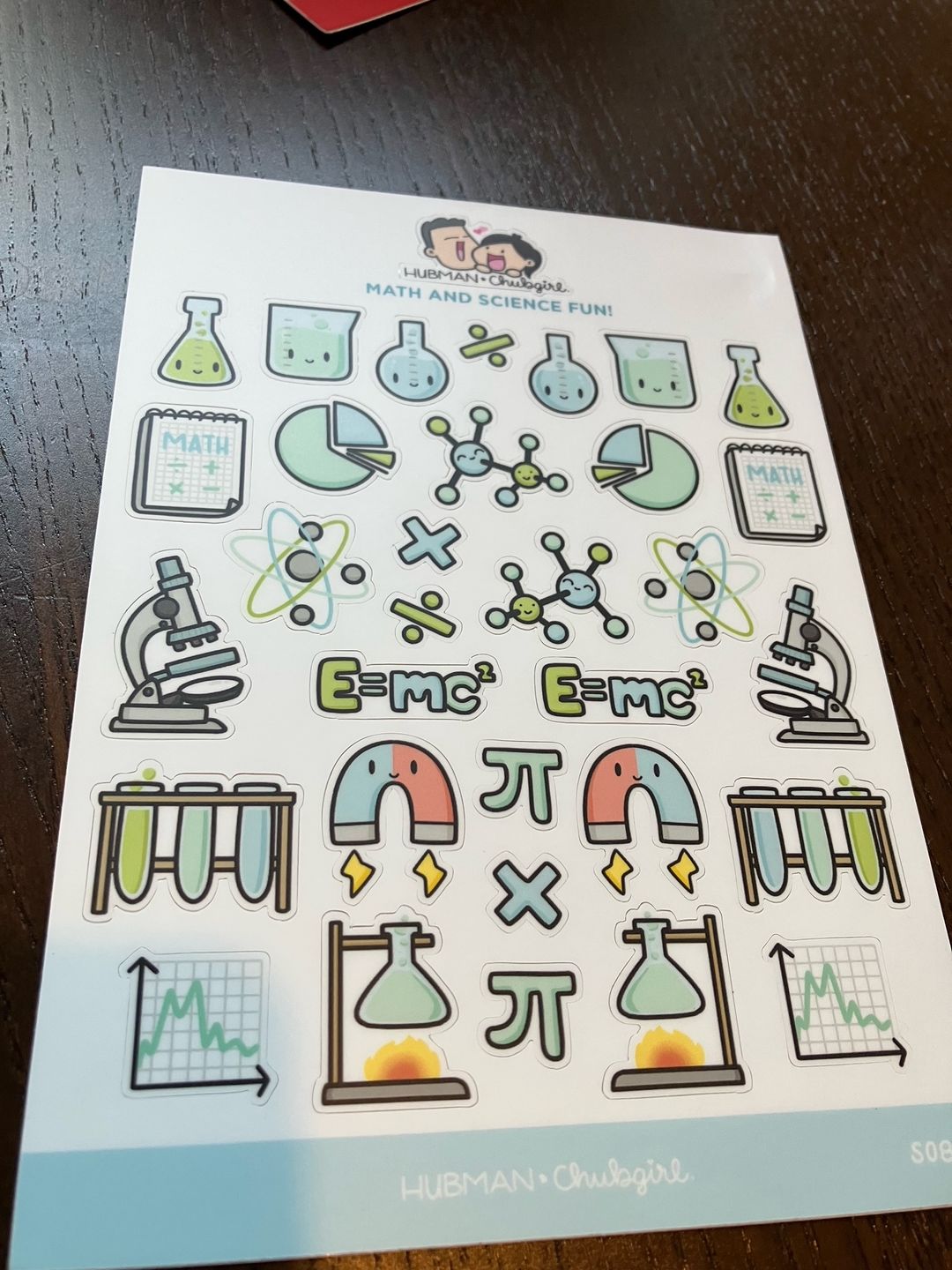 Customer photo review of Sticker Sheet - Math & Science Fun!