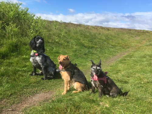 Customer photo review of Eden Original Cuisine