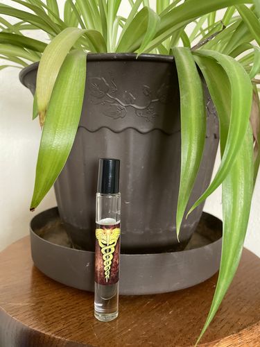 Customer photo review of Caduceus