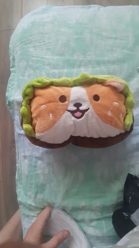 Customer photo review of Plush Hamburger Buddy Pencil Case