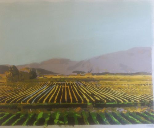 Customer photo review of Marlborough Vineyards