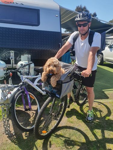 Customer photo review of All In One Pet Carrier Backpack Bundle | Backpack for Dogs & Cats | Dog Bike Basket | Car Booster Seat
