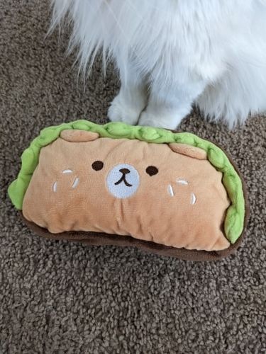 Customer photo review of Plush Hamburger Buddy Pencil Case
