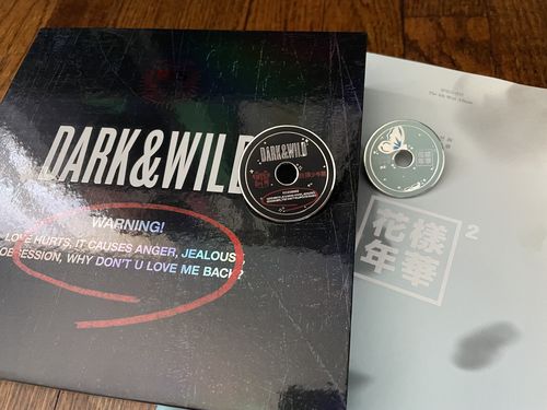Customer photo review of (PREORDER) BTS CD Enamel Pins