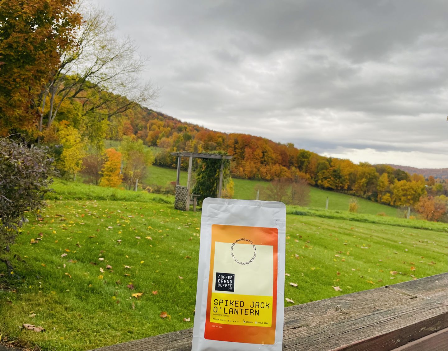 Customer photo review of Spiked Jack O'Lantern