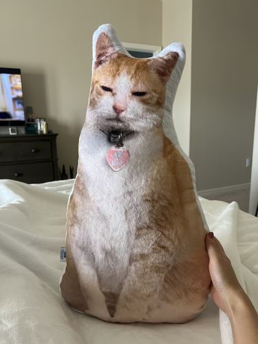Customer photo review of Create A Custom Cat Pillow