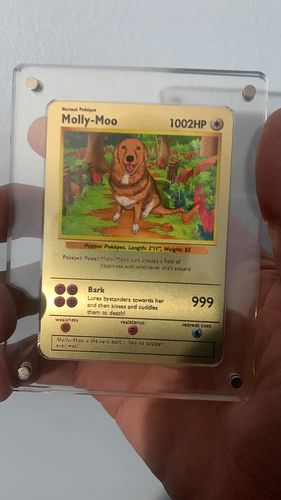 Customer photo review of Pokepet