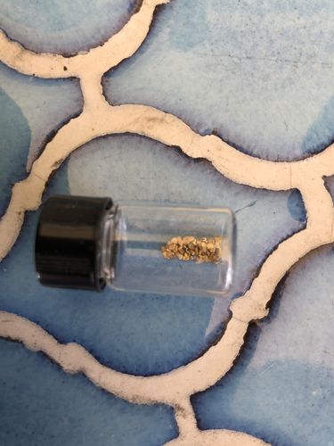 Customer photo review of *BOGO*: MAMMOTH 'TROY OUNCE NUGGET HUNT' Gold Paydirt - Gold Paydirt Concentrate