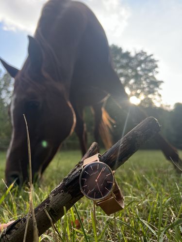 Customer photo review of Paris Marble Edition
