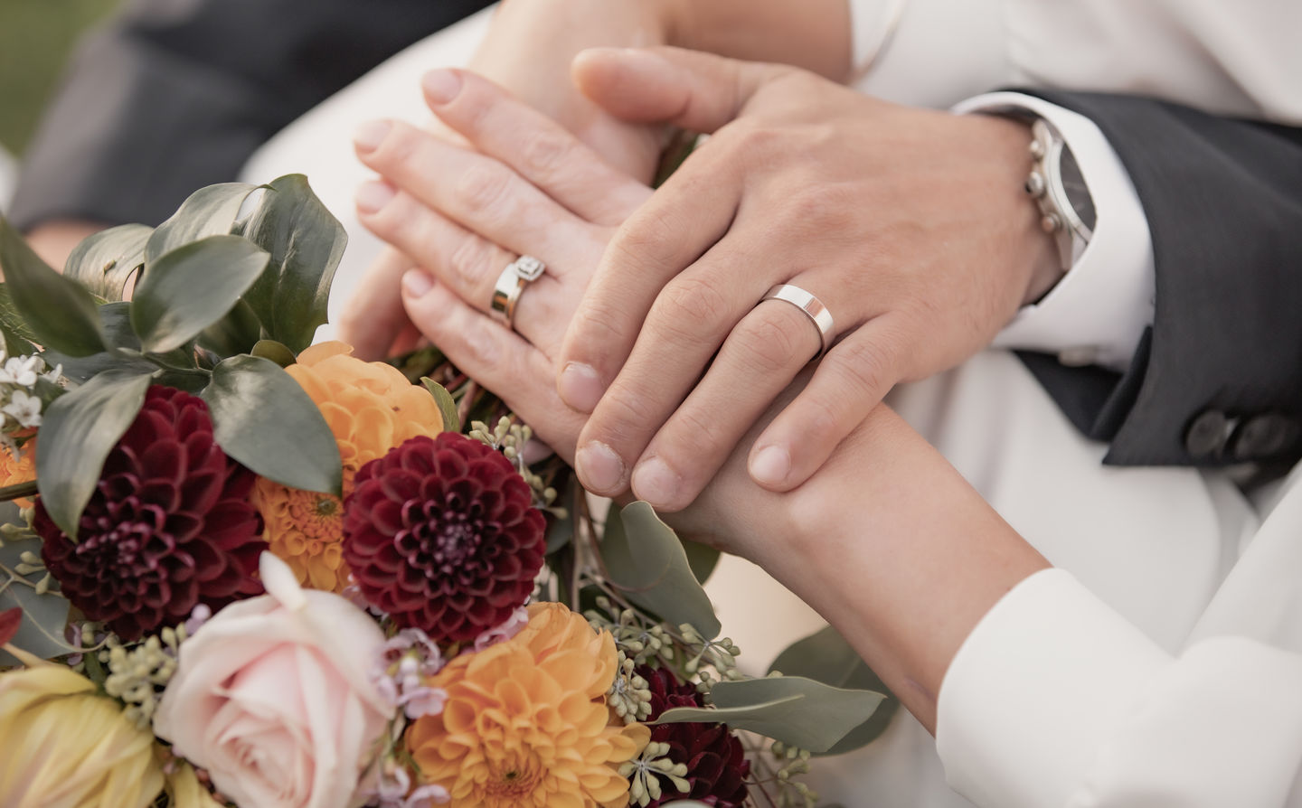 Customer photo review of CREAMY LIGHTROOM PRESETS