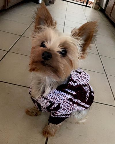 Customer photo review of Playa Poncho - Surprise Color