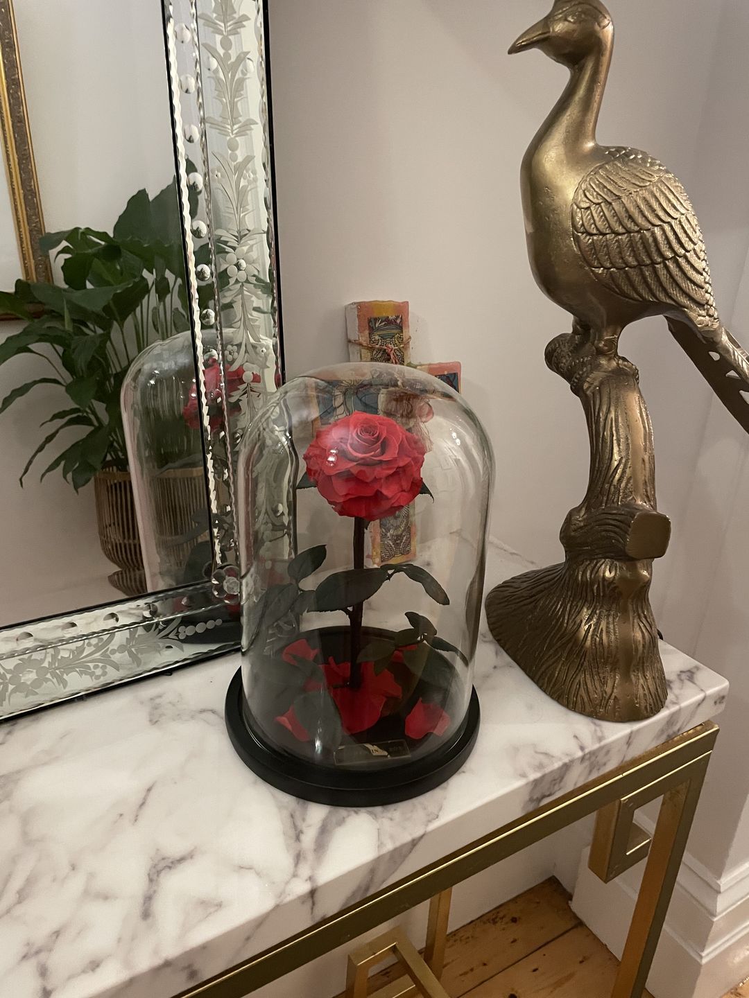 Customer photo review of Enchanted Rose - RED