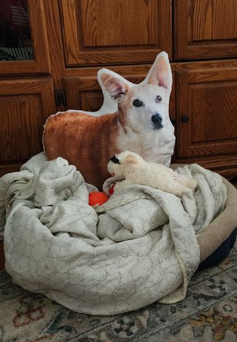 Customer photo review of Create A Custom Dog Pillow