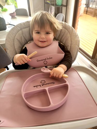 Customer photo review of Gourmet Bubs 8 Piece Feeding Set - Pale Mauve