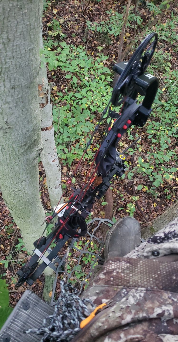 Customer photo review of D'Acquisto Series Hang-On .75