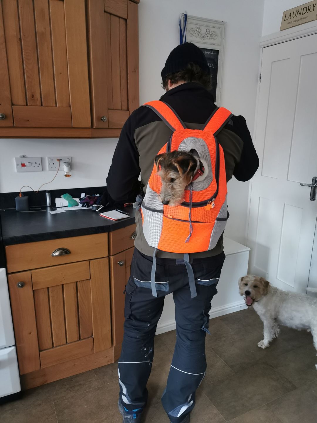 Customer photo review of Foxypets Hunderucksack