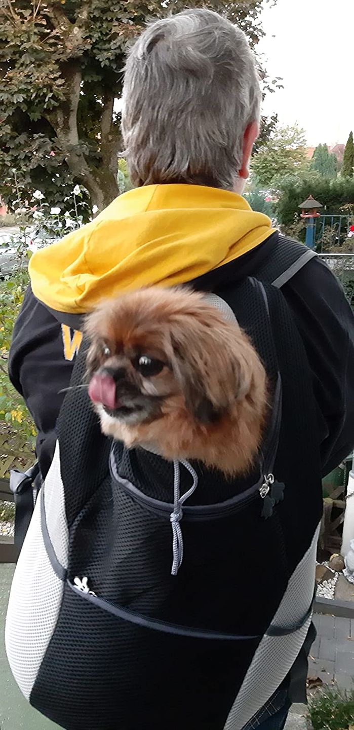Customer photo review of Foxypets Hunderucksack