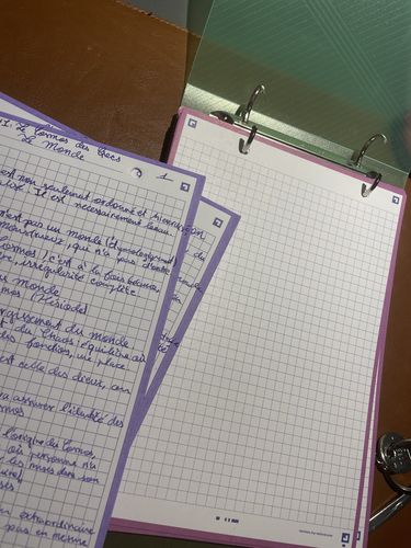 Avis photo d'un client sur Fiches de révision REVISION 2.0 OXFORD # 50 fiches 14,8 x 21 cm - petits carreaux