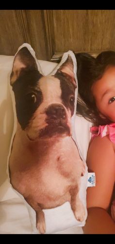 Customer photo review of Create A Custom Dog Pillow